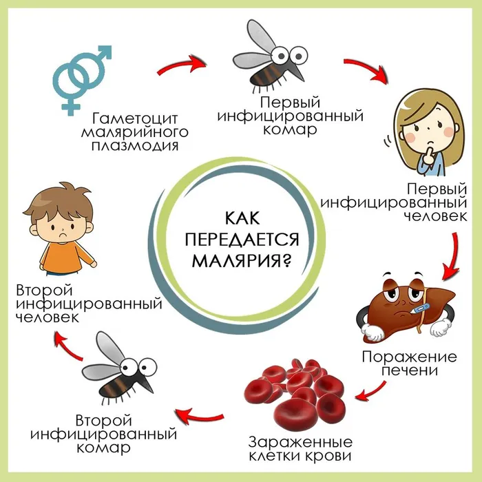 _gluster_2025_8_14_b640523b3478ab697c3ea303f6c62f12_original.188896